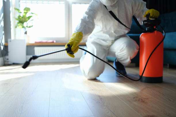 Trusted Sewage Cleanup service in Silver Springs, FL - Four Month Blood Cleanse
